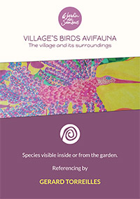 Village's Birds Avifauna