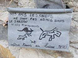 Chiens Non Admis Chiens Non Admis